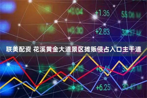 联美配资 花溪黄金大道景区摊贩侵占入口主干道