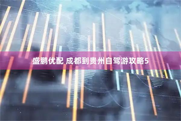 盛鹏优配 成都到贵州自驾游攻略5