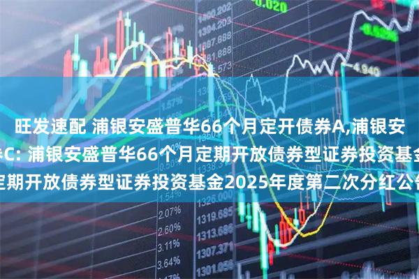 旺发速配 浦银安盛普华66个月定开债券A,浦银安盛普华66个月定开债券C: 浦银安盛普华66个月定期开放债券型证券投资基金2025年度第二次分红公告